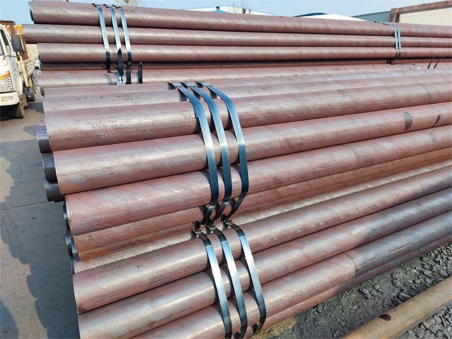 IMG_20230401_160614.jpg IMG_20230401_160614.jpg